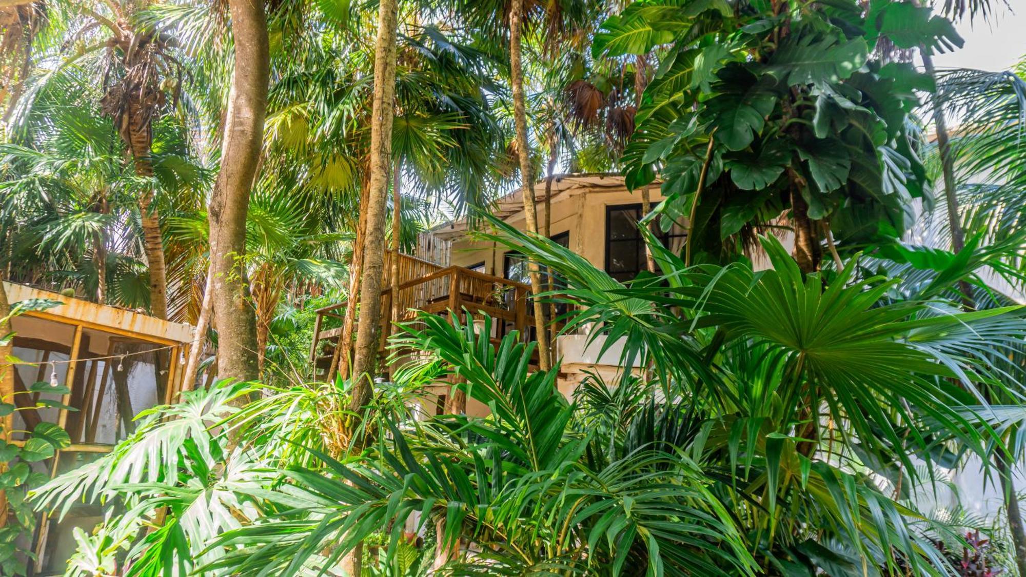 Casa Ambar Hotel & Boutique Tulum (Adults Only) المظهر الخارجي الصورة