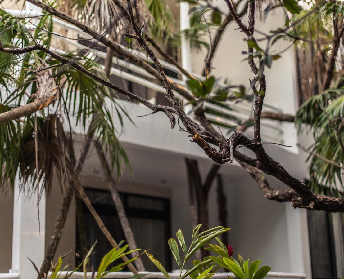 Casa Ambar Hotel & Boutique Tulum (Adults Only) المظهر الخارجي الصورة